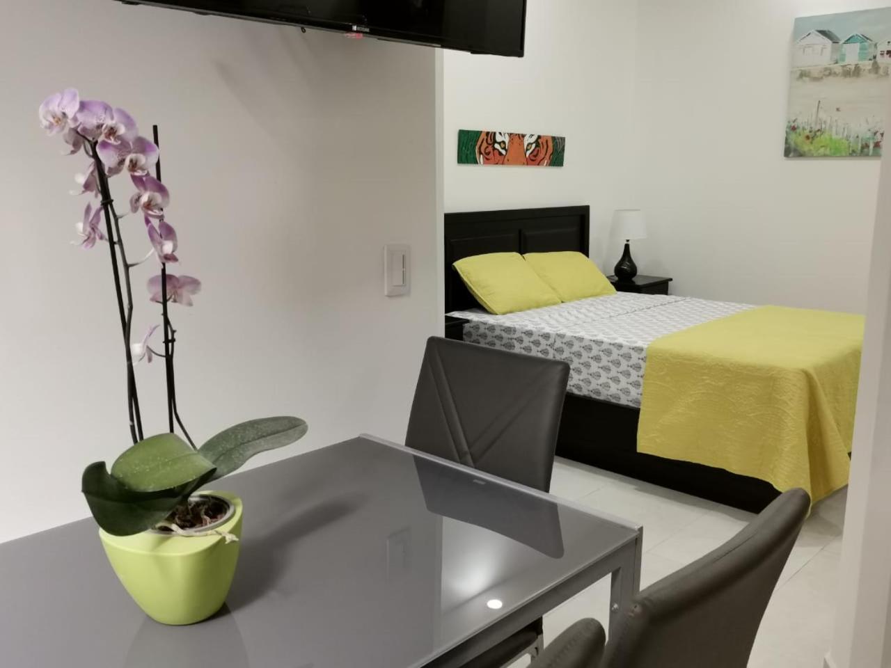 935 Lodge San Jose 외부 사진